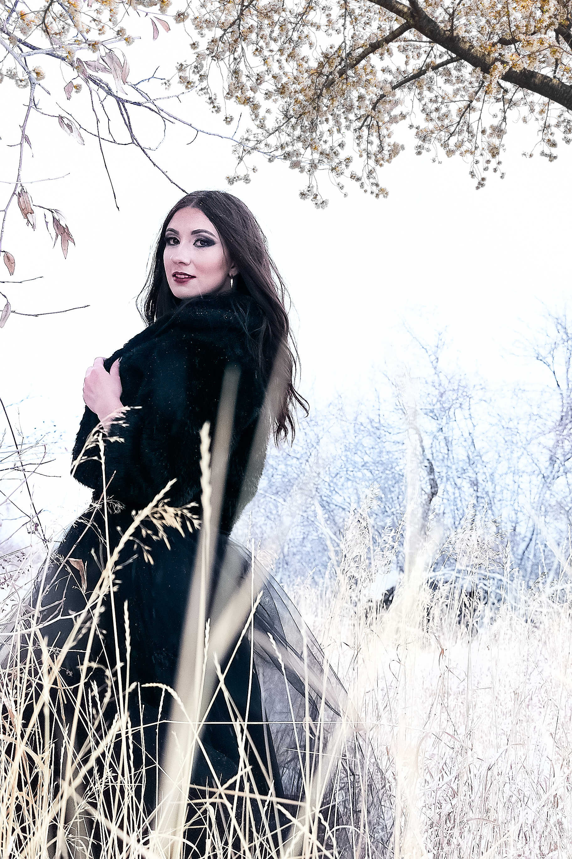 OMP new image